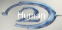 Human